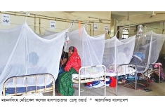 ময়মনসিংহে বাড়ছে ডেঙ্গুর প্রকোপ  