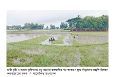 কক্সবাজারে বন্যার ক্ষতি কাটিয়ে কৃষকদের ঘুরে দাঁড়ানোর লড়াই  