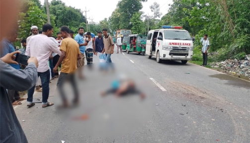 রামুতে ট্রাক-সিএনজির সংঘর্ষে দুই বোনসহ নিহত ৩, আহত ৩