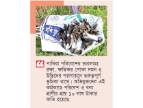 নাটোরে ৪০০ শালিক হত্যা, ৪ জনের বিরুদ্ধে বন বিভাগের মামলা  