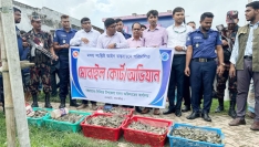 দেবহাটায় চিংড়িতে জেলি পুশের বিরুদ্ধে মৎস্য অধিদপ্তরের অভিযান