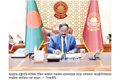 বঙ্গভবনে ভারপ্রাপ্ত রাষ্ট্রপতির দাপ্তরিক কার্যক্রম শুরু  