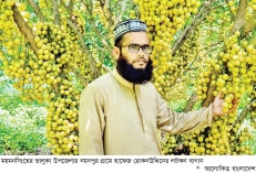 লটকন চাষে হাফেজ রোকনউদ্দিনের সাফল্য  