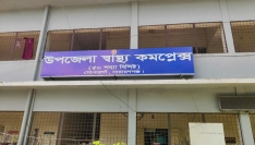 সোনারগাঁয়ে তিন গ্রামে শিয়ালের হামলা, নারী-শিশুসহ আহত ১৫