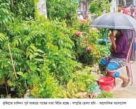 বর্ষায় গাছের চারার হাট জমজমাট  