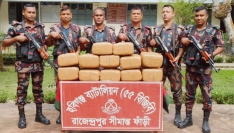 হবিগঞ্জ সীমান্তে বিজিবির অভিযানে ৬০ কেজি ভারতীয় গাঁজা জব্দ
