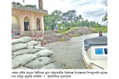 ভাঙছে পায়রা, কাঁদছে মানুষ  