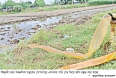 শ্রমিক সংকটে আমনের চারা  রোপণ নিয়ে শঙ্কা  