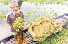 প্রায় চার মাস পানিতে ডুবে থাকে মুন্সীগঞ্জের আড়িয়াল বিল  