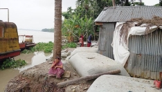 নদীভাঙনে ঘর হারিয়ে গাছতলায় দিন কাটে হেলেনা বেগমের