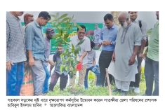 সড়কের দুই পাশে বৃক্ষরোপণ কর্মসূচির উদ্বোধন  