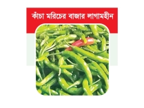 খেত থেকে ভোক্তা পর্যায়ে কেজিতে বাড়ছে ২৫০-৩০০ টাকা  