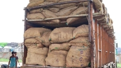 বেনাপোলে মরিচের প্রথম চালান, বাজারে দাম কমার প্রত্যাশা