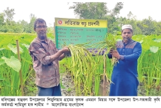 বাহুবলে লতিকচু চাষে কৃষকের সাফল্য  