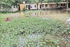 সরকারি প্রাথমিক বিদ্যালয়ের মাঠে বর্ষার পানি  