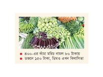 কাঁচা মরিচে স্বস্তি ফিরলেও ডিমে অস্বস্তি  