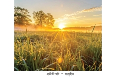 সকালের বরকত লাভে করণীয়  