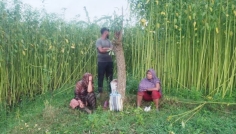 চুয়াডাঙ্গা সীমান্তে বিএসএফের পুশ-ইন চেষ্টা, প্রতিহত করল বিজিবি