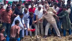 চলনবিলে ব্যক্তিগত অর্থায়নে ৫০ মণ মাছের পোনা অবমুক্ত