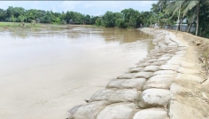 দুর্গাপুরে নেতাই নদীর ভাঙন রোধে ৩৮ লাখ টাকার বাঁধ নির্মাণ