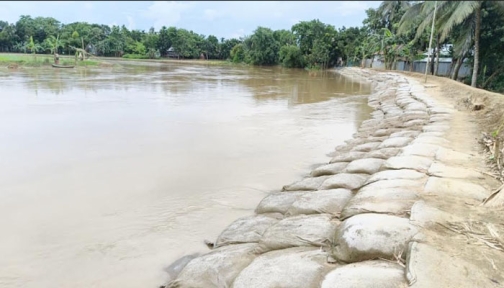 দুর্গাপুরে নেতাই নদীর ভাঙন রোধে ৩৮ লাখ টাকার বাঁধ নির্মাণ