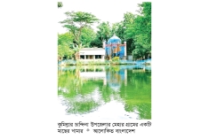 চান্দিনায় মাছ চাষে নীরব বিপ্লব  