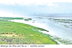 শরীয়তপুরে ইলিশ আহরণ কমেছে ১৮ শতাংশ  