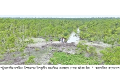 সংরক্ষিত বনাঞ্চলের খালে বাঁধ দেওয়ার অভিযোগ  