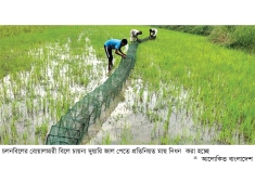 চলনবিলে অবৈধ জালে ব্যাহত হচ্ছে মাছের প্রজনন  