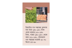 ঝাল কমেছে কাঁচা মরিচের ডিমের হালি ৪৮ টাকা  