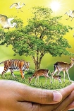 প্রাণীর সুরক্ষায় করণীয়  