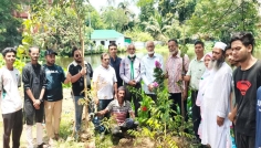 হবিগঞ্জ হাইস্কুল প্রাঙ্গণে স্বপ্ন সোসাইটির বৃক্ষ রোপণ