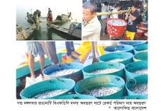 কাপ্তাই হ্রদে মাছ আহরণের প্রথম দিনেই রেকর্ড  