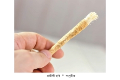 যে কারণে মিসওয়াক করতে বলেছেন মহানবী (সা.)  