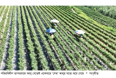 দক্ষিণ কোরিয়ায় নজিরবিহীন তাপপ্রবাহ  