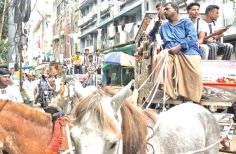 শিরোপার স্বপ্নে নতুন যাত্রা মোহামেডানের  