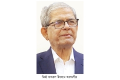 মির্জা ফখরুলই হচ্ছেন রাষ্ট্রপতি  