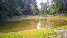 রংপুর অঞ্চলে মাছের ঘাটতি এখনও ১৯ হাজার টন