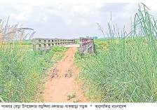 খানাখন্দের সড়কে ১০ গ্রামের মানুষের দুর্ভোগ  