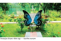 বিরল উপজেলা পরিষদ চত্বরে সবুজের সমারোহ  