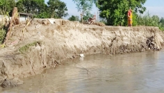 সিরাজগঞ্জে যমুনার ভাঙনে নিঃস্ব বহু পরিবার, চলছে ত্রাণ বিতরণ
