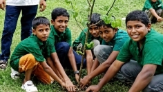 বৃক্ষরোপণে গাছের বদলে ডাল, প্রধান শিক্ষক সাময়িক বরখাস্ত