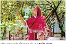 চান্দিনায় মাল্টা চাষ সাড়া ফেলেছে 