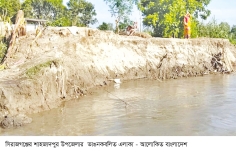 ভাঙন অব্যাহত, যমুনা গিলছে বসতবাড়ি-ফসলি জমি  