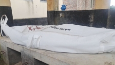 রাজবাড়ীতে দাঁড়িয়ে থাকা ট্রাকে ধাক্কা, চালকের মৃত্যু
