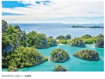 মুসলিমবিশ্ব পরিচিতি  ইন্দোনেশিয়া 