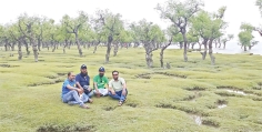 দক্ষিণের প্রাকৃতিক সৌন্দর্য  