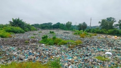 বরগুনা পৌরসভার বর্জ্য ব্যবস্থাপনা নাজুক, ভোগান্তিতে পৌরবাসী