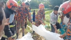 কিশোরগঞ্জে মাছবাহী ট্রাকের ধাক্কায় স্বামী-স্ত্রী নিহত