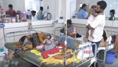 ২৪ ঘণ্টায় হামের উপসর্গে আরও ৩ শিশুর মৃত্যু